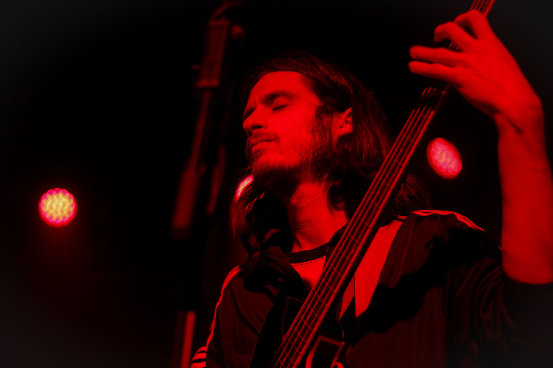 crumb bassist